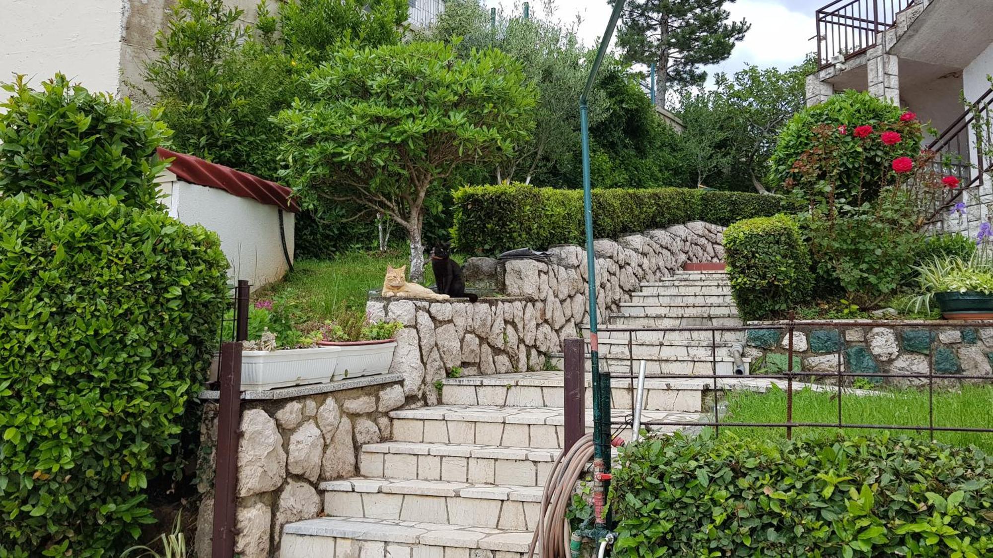 Apartmani Katica2 Crikvenica Exterior photo